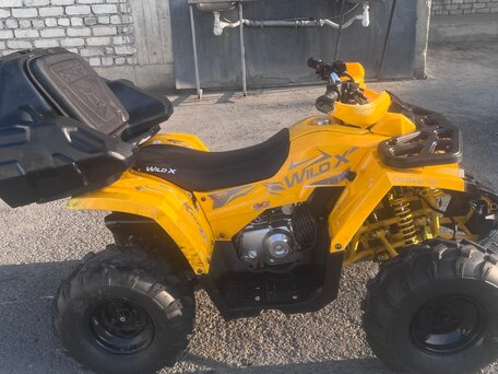 2024 Irbis ATV 125U, жёлтый, 115000 рублей, вид 4
