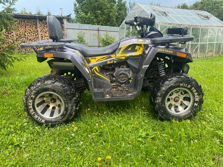 2021 Motoland Wild Track 200 X Pro, серебристый, 133999 рублей, вид 5