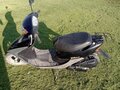 2008 Honda Dio, чёрный, 37000 рублей