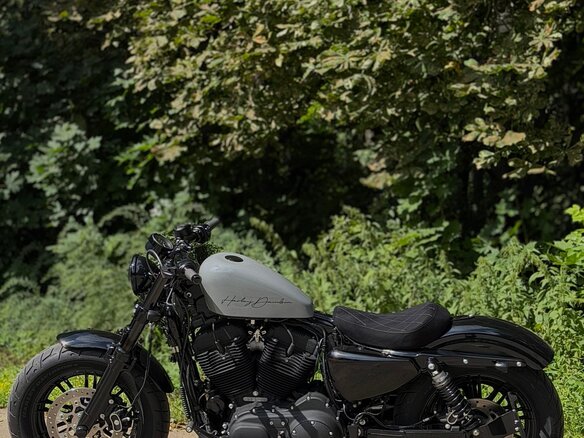 2020 Harley-Davidson Sportster 1200, серый, 1900000 рублей - вид 7