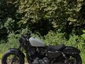 2020 Harley-Davidson Sportster 1200, серый, 1900000 рублей - вид 7