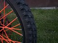 2024 Motoland XT300, оранжевый, 130000 рублей - вид 6