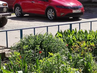 2006 Honda Civic VIII, красный, 700000 рублей, вид 3