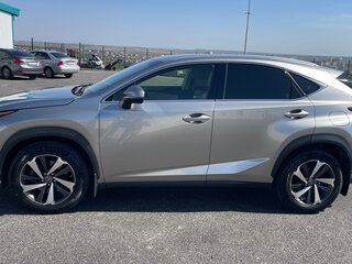2019 Lexus NX 300 I Рестайлинг, серый, 3500000 рублей, вид 2