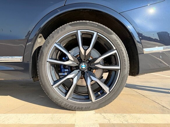 2019 BMW X7 30d I (G07), синий, 7790000 рублей - вид 13