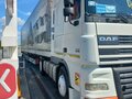 2004 DAF XF 95, белый, 2000000 рублей - вид 2