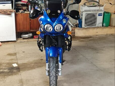 2006 Triumph Tiger 955i, синий, 425000 рублей, вид 2