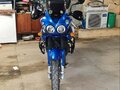 2006 Triumph Tiger 955i, синий, 425000 рублей - вид 1