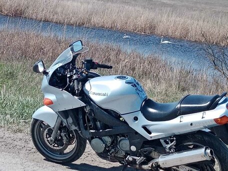 2004 Kawasaki ZZR 400, серый, 200000 рублей, вид 1