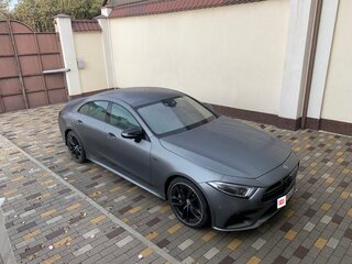 2019 Mercedes-Benz CLS AMG 53 AMG III (C257), серый, 9100000 рублей, вид 4