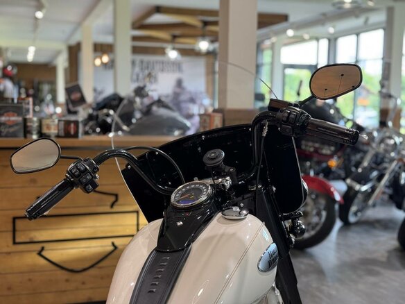 2022 Harley-Davidson Heritage, белый, 2050000 рублей - вид 22