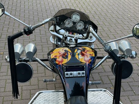 2003 Boom Trikes Family, чёрный, 5000000 рублей, вид 5