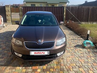 2017 Skoda Octavia III (A7), коричневый, 1250000 рублей, вид 1