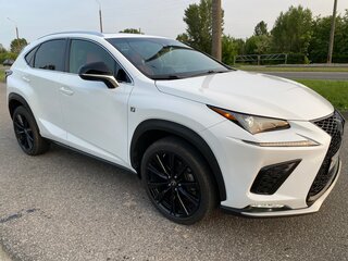 2021 Lexus NX 300 I Рестайлинг, белый, 2990000 рублей, вид 5