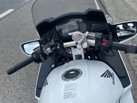 2007 Honda ST 1300, белый, 550000 рублей, вид 5