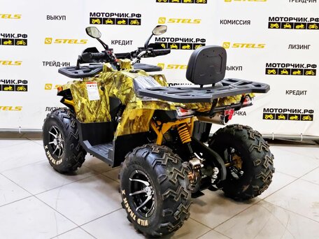 2026 Motoland Wild Track 200 X Pro, жёлтый, 219000 рублей, вид 3