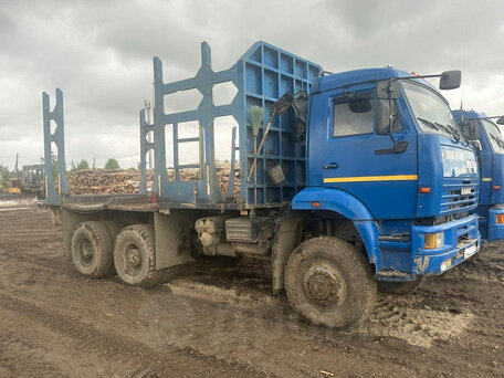 2019 КамАЗ 6522, синий, 1790000 рублей, вид 3
