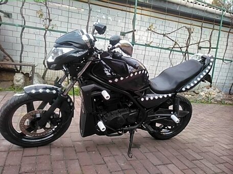 2001 Kawasaki ER-5, чёрный, 212262 рублей, вид 4