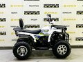 2025 Bison ATV200, белый - вид 3