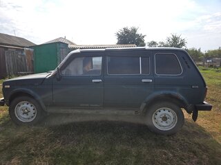 1999 Lada (ВАЗ) 2131 (4x4) I, зелёный, 120000 рублей, вид 4
