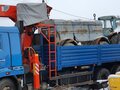 2010 КамАЗ 65117, синий, 8500000 рублей - вид 4