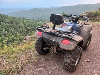 2012 Polar Fox ATV600, синий, 365000 рублей, вид 4