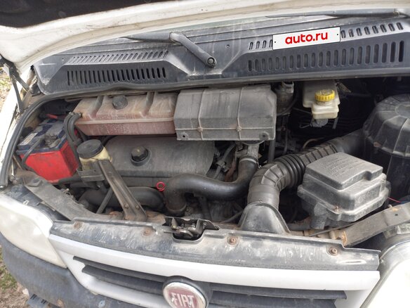 2008 Fiat Professional Ducato, белый, 950000 рублей - вид 5