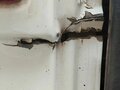 2024 ГАЗ ГАЗель Next, белый, 1500000 рублей - вид 5