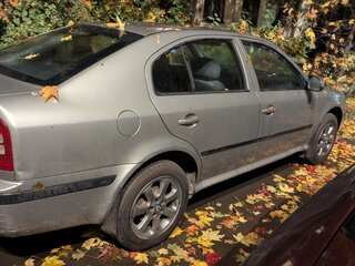 2009 Skoda Octavia I (A4) Рестайлинг, серый, 490000 рублей, вид 1