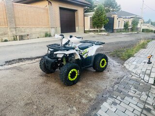 2024 Motoland Wild 125, белый, 105000 рублей, вид 1