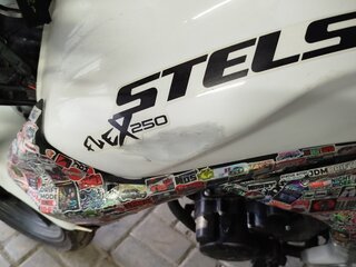 2013 Stels Flex 250, белый, 100000 рублей, вид 4