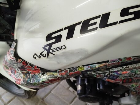 2013 Stels Flex 250, белый, 100000 рублей, вид 4