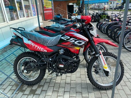 2025 Racer Panther, красный, 159000 рублей, вид 2