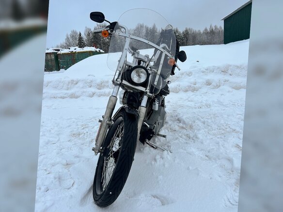 2001 Harley-Davidson Softail Standard, чёрный, 789000 рублей - вид 10