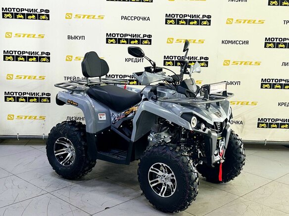 2025 Bison Hammer 250 PRO, серый - вид 7