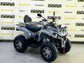 2025 Bison Hammer 250 PRO, серый - вид 7