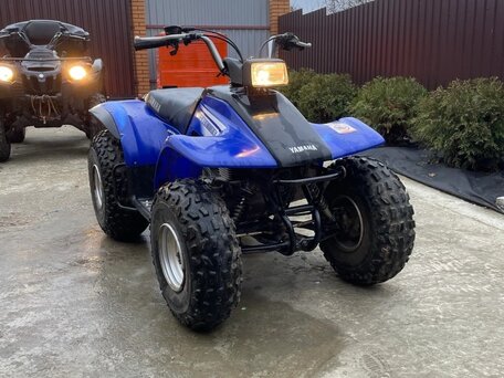 2004 Yamaha Breeze 125, синий, 290000 рублей, вид 1