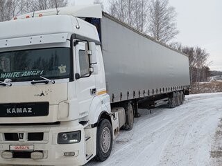 2016 КамАЗ 5490, белый, 1950000 рублей, вид 4