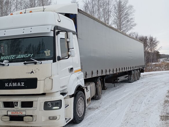 2016 КамАЗ 5490, белый, 1950000 рублей - вид 3