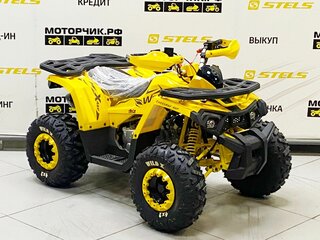 2025 Motoland Wild 125, жёлтый, 99000 рублей, вид 5