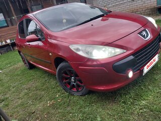 2006 Peugeot 307 I Рестайлинг, красный, 250000 рублей, вид 2