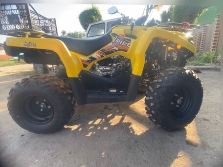 2024 Iride 200 Rover, жёлтый, 186000 рублей, вид 5