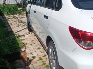2014 Nissan Almera III (G15), белый, 595000 рублей, вид 3
