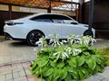 2023 Changan Lamore, белый, 2300000 рублей - вид 5