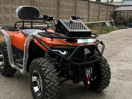2025 Другие ATV (другие), оранжевый, 320000 рублей, вид 3