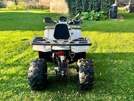 2019 Motoland Wild Track 200, белый, 140000 рублей, вид 4