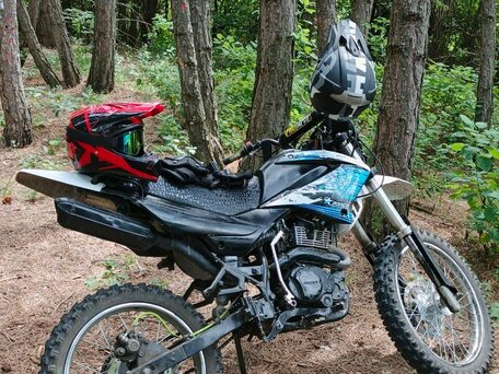 2017 Racer Panther, чёрный, 89000 рублей, вид 4