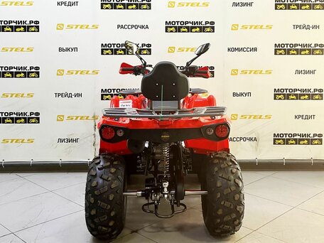 2025 Bison Hammer 250 PRO, красный, 252990 рублей, вид 4