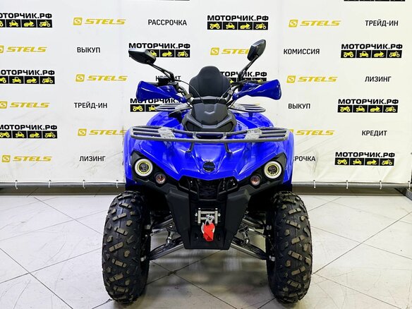 2025 Bison Hammer 250 PRO, синий - вид 6