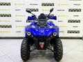 2025 Bison Hammer 250 PRO, синий - вид 6
